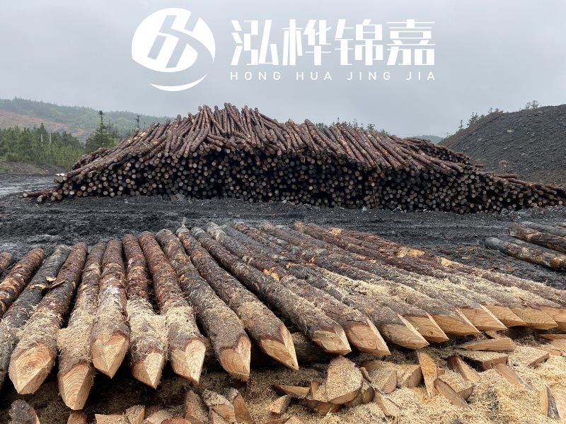 6米長(zhǎng)松木樁有哪些作用，多少錢一根？