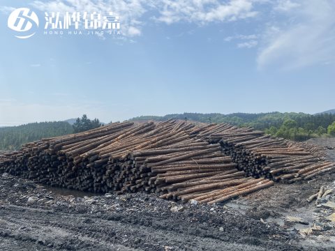 河道打樁為什么選擇松木樁來處理軟地基？-松木樁施工使用范圍