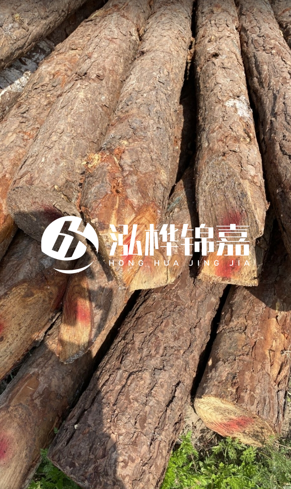 <strong>松木樁和杉木樁的用途區(qū)別？哪個(gè)更適合打樁用？</strong>