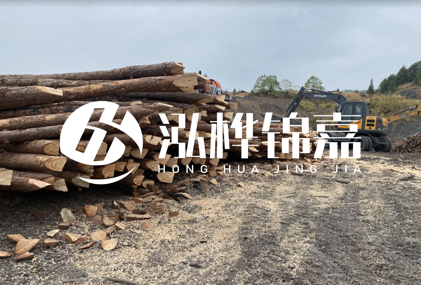 松木樁尾徑是什么意思？