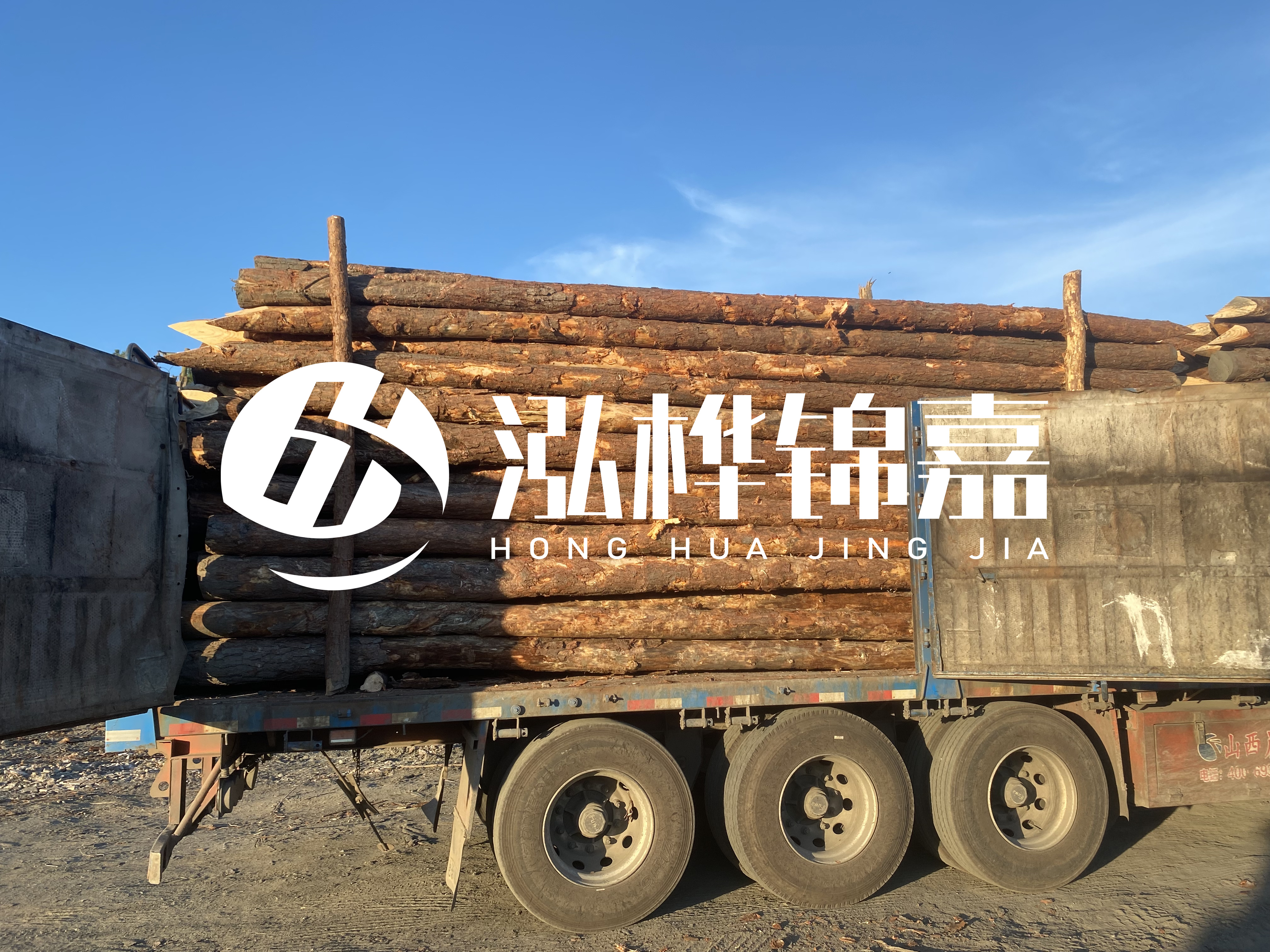 河道治理為什么要用松木樁？