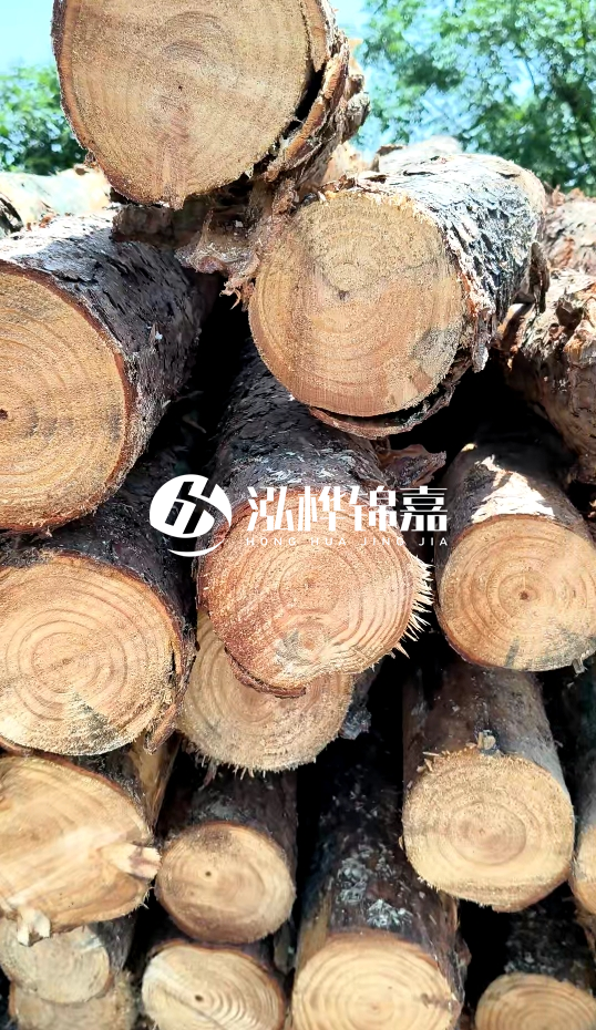 周口挖機(jī)打木樁專業(yè)施工-杉木樁施工打樁怎么打？