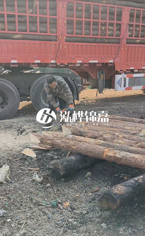 2米松木樁多少錢一根？15-20CM直徑價格是多少？