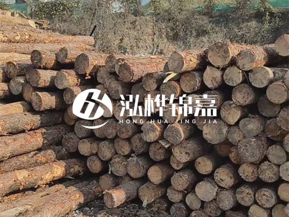 落葉松木材的主要產(chǎn)地在哪里？為什么比其他松木更耐腐蝕？