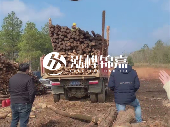 松木樁價格是按米算還是按根算？6米松木樁批發(fā)價每根多少錢？