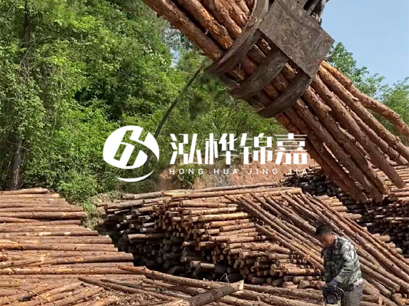 哪里能買到優(yōu)質(zhì) 3 米松木樁？長沙有松木樁批發(fā)工廠嗎？