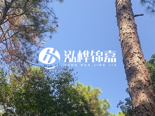 松木樁廠家的供貨能力強(qiáng)不強(qiáng)-怎么才能聯(lián)系到松木樁廠家？