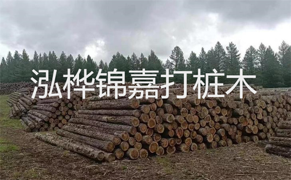 選擇紅磚護坡，打造獨特的美麗景觀
