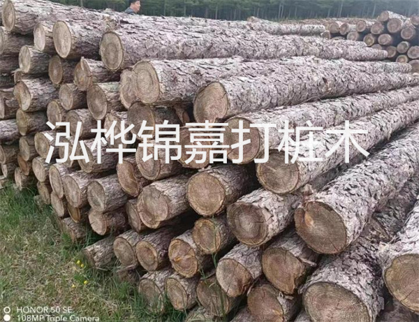 高效修補，保駕護航！水泥路面高強度修補料為您解決煩惱！
