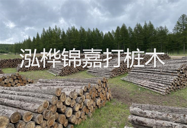 預(yù)制松木樁施工工藝：優(yōu)質(zhì)材料，高效快速，堅(jiān)固耐用