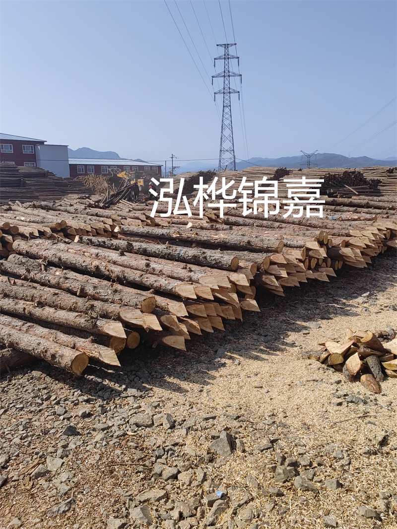 深入了解松木樁基礎(chǔ)施工單價(jià)，助力工程建設(shè)順利進(jìn)行！