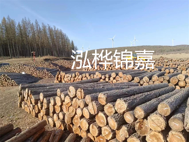 用路基松木樁施工方案提升工程質(zhì)量描述：了解路基松木樁施工方案的重要性，提高工程質(zhì)量關(guān)鍵詞：路基松木樁，施工方案，工程質(zhì)量