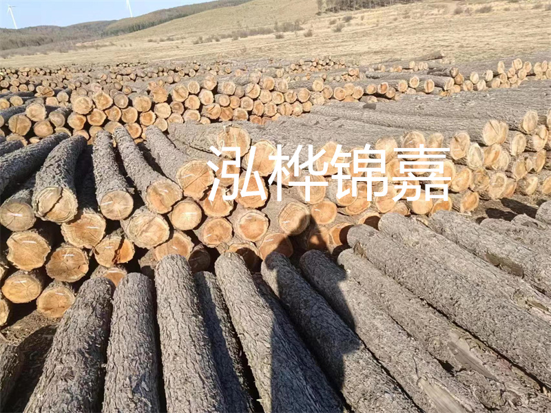 選擇合適的路緣石尺寸，打造美麗道路