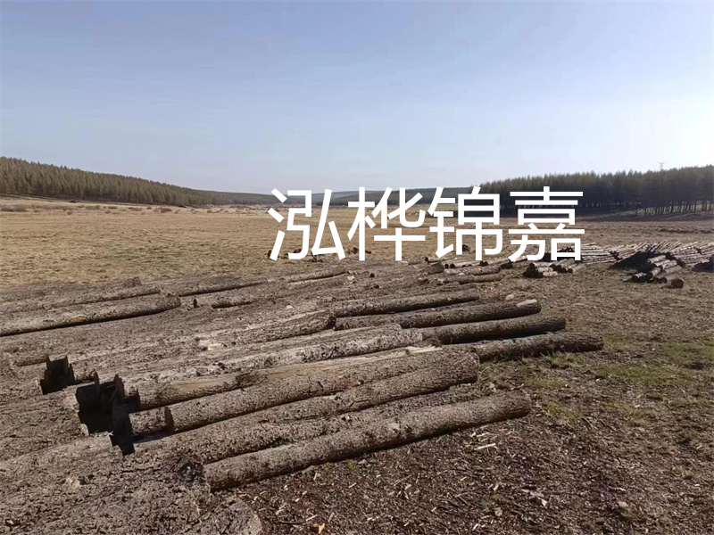 鄂州松木樁哪里好？推薦泓樺錦嘉松木樁業(yè)！